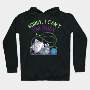 Sorry I can't I'm busy funny sarcastic messages sayings and quotes Hoodie